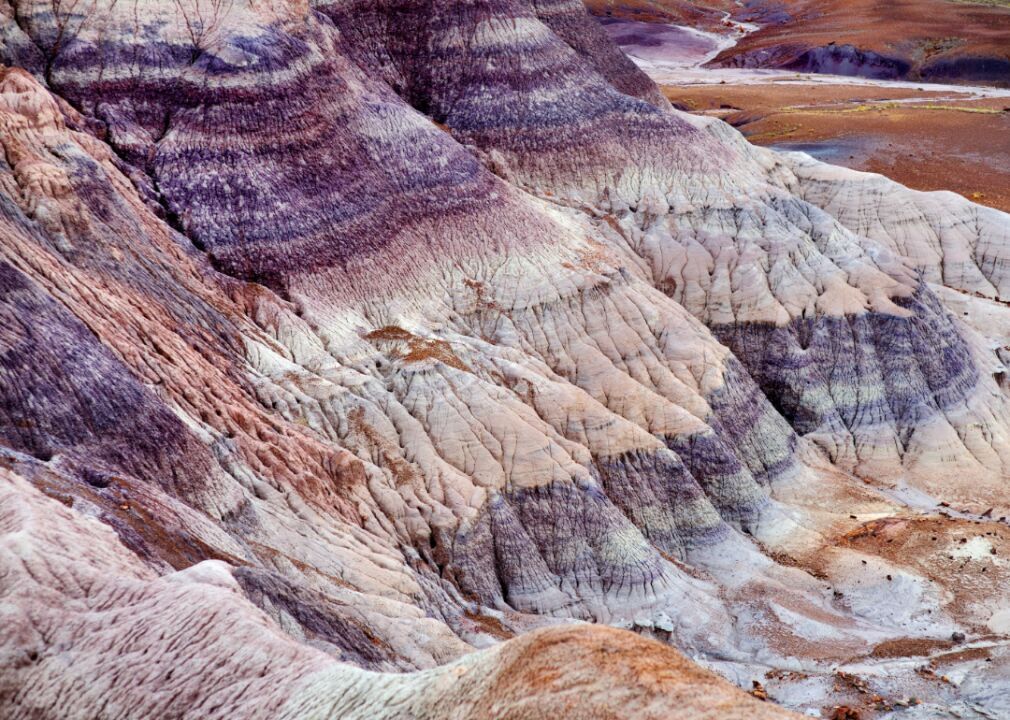 #38. Petrified Forest: Camp in the Painted Desert